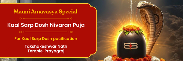 Mauni Amavasya Special Kaal Sarp Dosh Nivaran Puja – Takshakeshwar Nath Temple