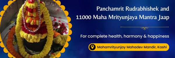Panchamrit Rudrabhishek And 11000 Maha Mrityunjaya Mantra Jaap by 5 Vedic Pandits