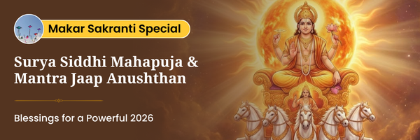 Surya Siddhi Mantra Mahapuja and Energized 7 Horses Raw Pyrite Frame Delivery