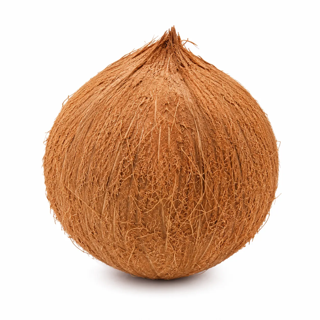 Coconut