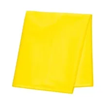 Yellow Cloth (Peela Vastra)