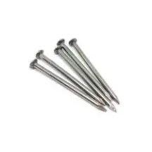 लौह कील (Iron Nails)