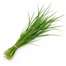 Durva Grass